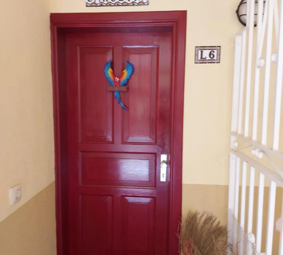 Carolina Apartman Costa Adeje  Costa Adeje (Tenerife)